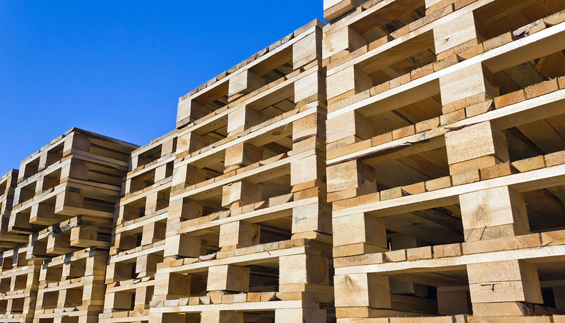 pallet usati